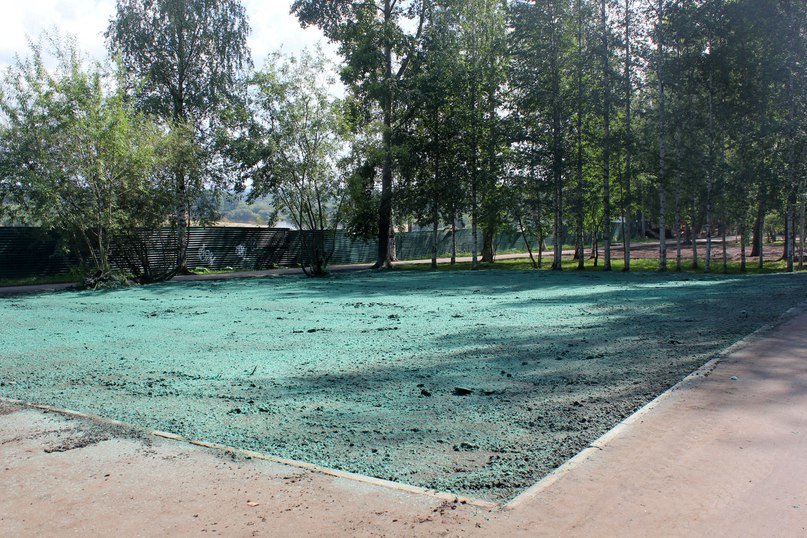 Землю в сыктывкарском Кировском парке покрасили в изумрудный цвет, фото-2